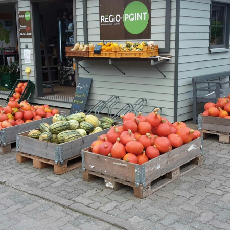 Zierkürbisse - Gemüse frisch kaufen beim Gemüsebetrieb Regio Point Lübeck